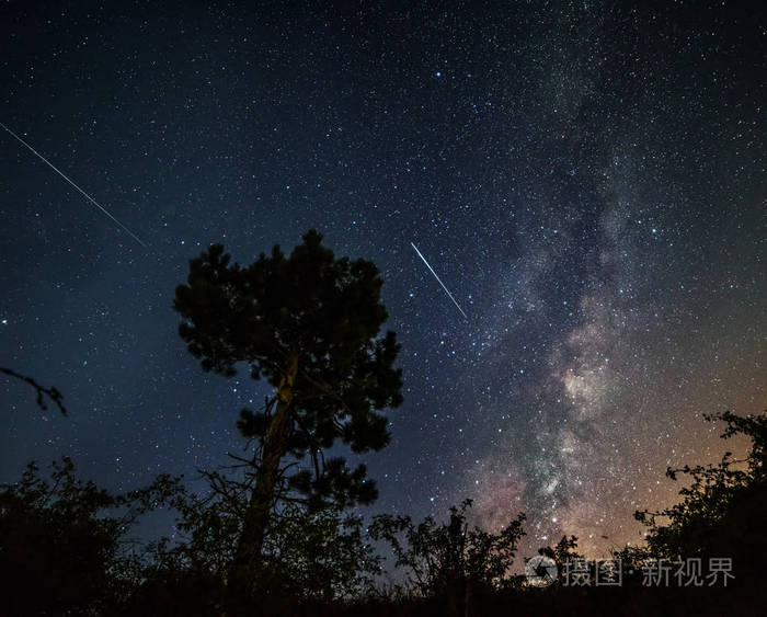 一棵松树的轮廓在星空的背景上银河和坠落的陨石