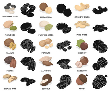 不同种类的坚果卡通黑色图标在集合中进行设计。坚果食品矢量符号库存插图。
