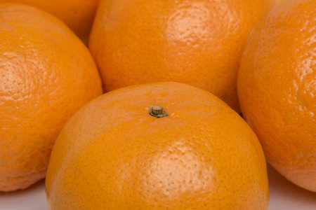 白色背景下成熟橘子的图像