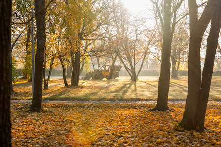 雾蒙蒙的秋晨，用拖拉机在空公园日出