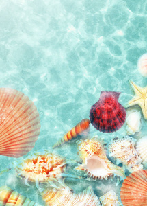 贝壳在海水中的夏日海滩上。夏季背景。夏季时间