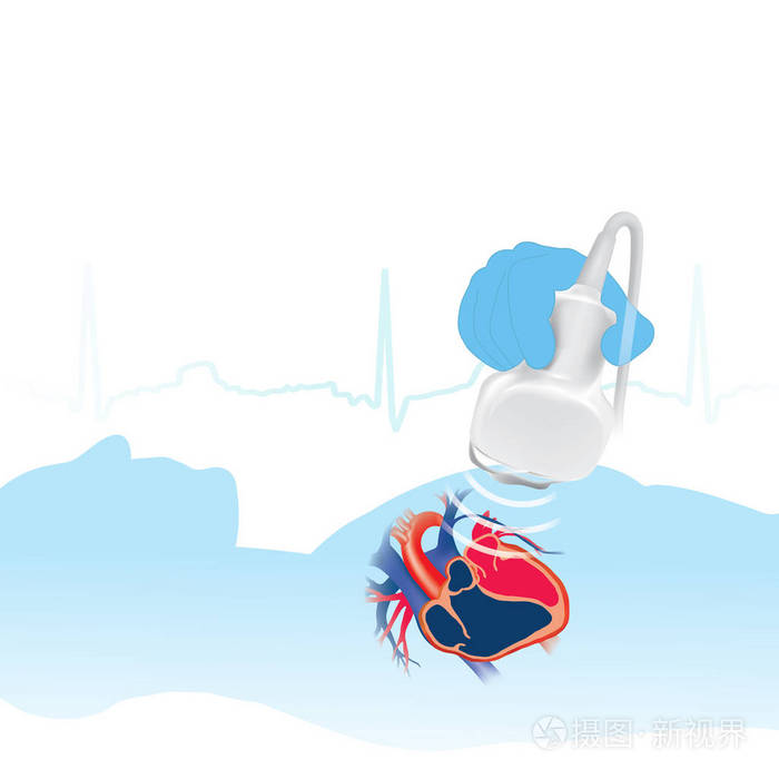 超声心动图白色背景. 信息图形.
