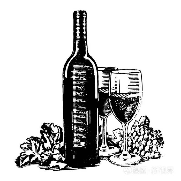 向量酒瓶手绘的剪影与玻璃和葡萄例证在白色背景
