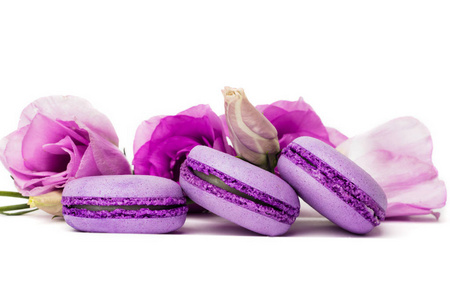 蛋糕通心粉或通心粉分离在白色紫罗兰杏仁饼干上，涂上紫罗兰春花的颜色。 复制文本空间。