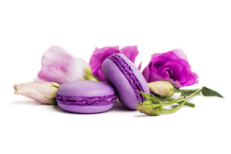 蛋糕通心粉或通心粉分离在白色紫罗兰杏仁饼干上，涂上紫罗兰春花的颜色。 复制文本空间。