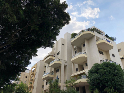以色列雷霍沃特2018年8月26日 以色列雷霍沃特的住宅建筑和树木