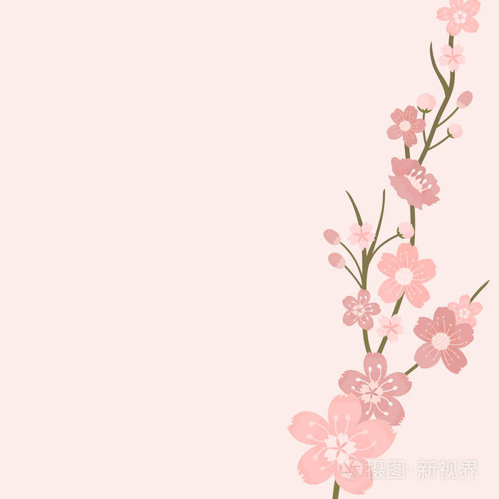 粉红色樱花空白背景vectot插画-正版商用图片1934wt-摄图新视界