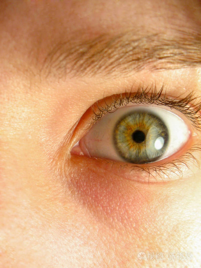 虹膜和瞳孔眼睛闭上美丽的浅绿色灰色棕色的眼睛有反射的光芒体检后