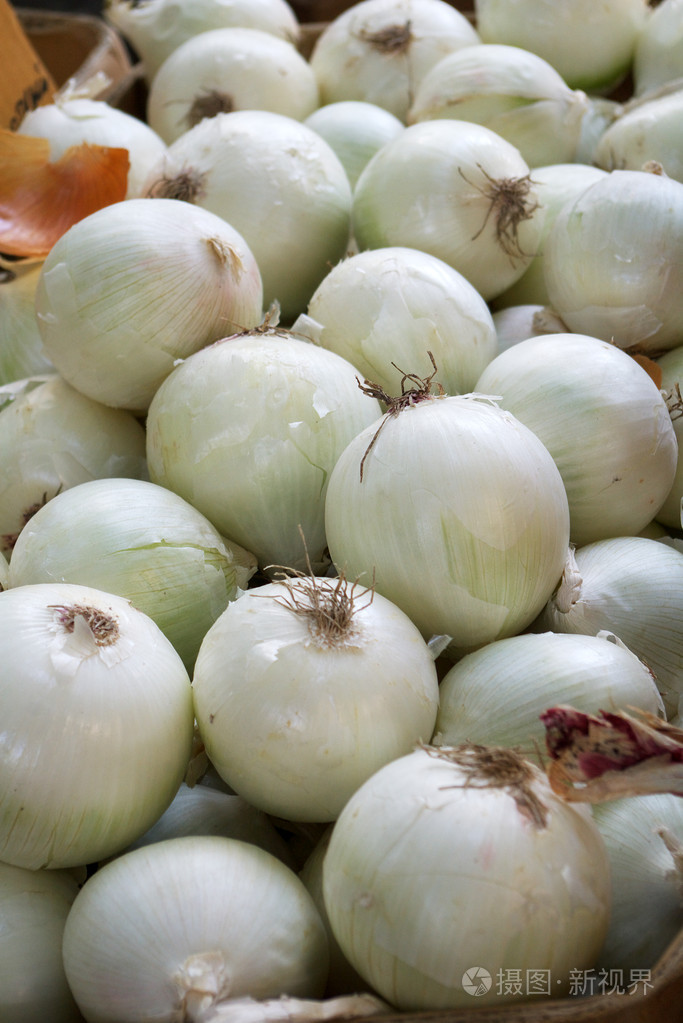 新鲜白洋葱