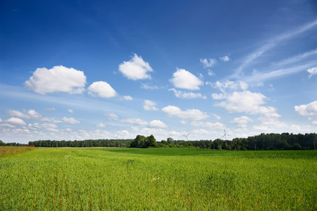 夏天风景