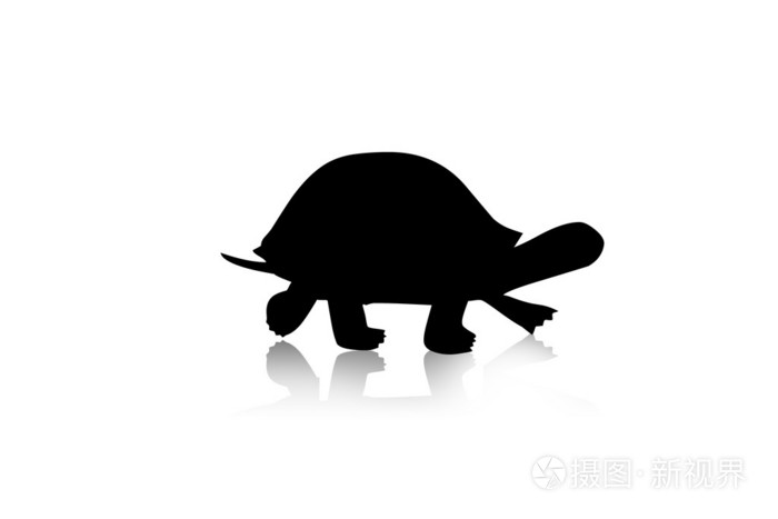 海龟剪影