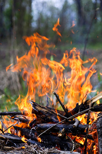木火烧伤图片