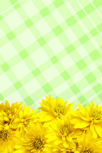 黄色的花朵的花瓣背景