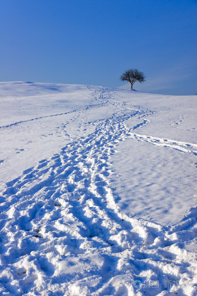 获奖雪景脚印图片图片