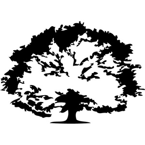 trees.vector 图像