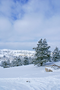 雪灾后