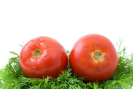 对的熟的西红柿在一些莳萝