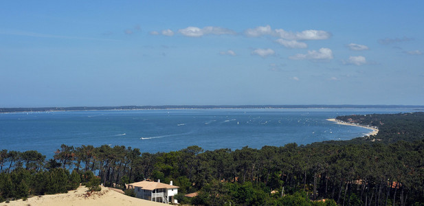 海洋海岸