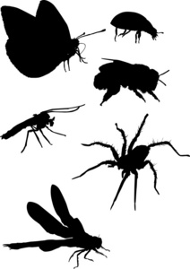 蚊子和其他昆虫剪影