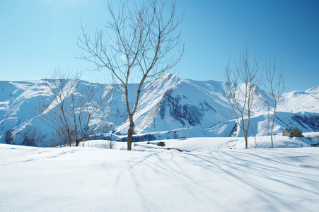 高山在冬天雪下