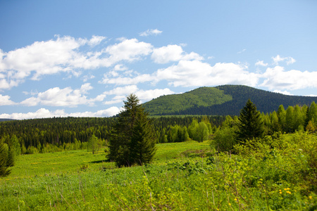 夏天风景。乌拉尔山