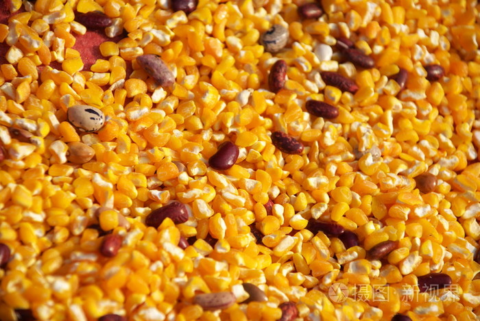 玉米和大豆