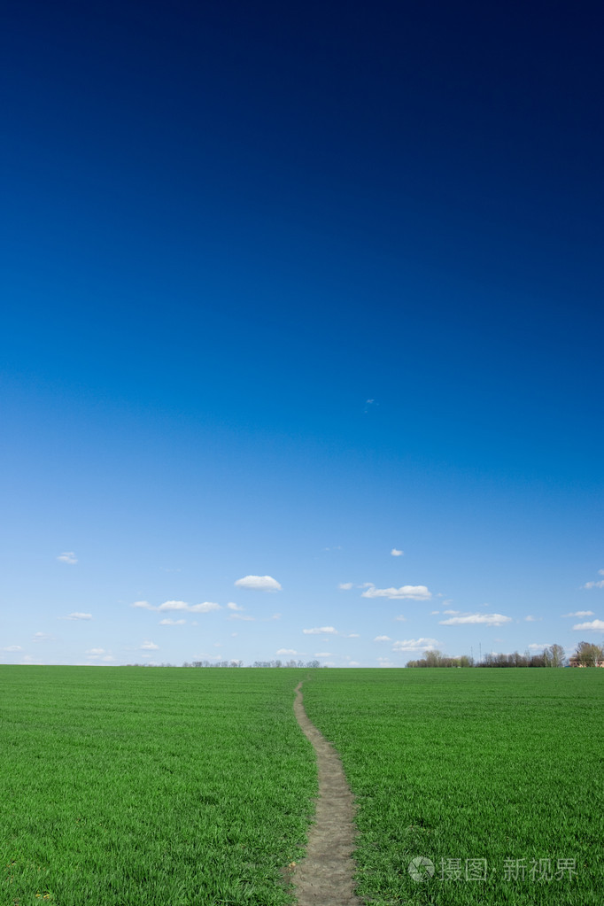 绿草和蓝天