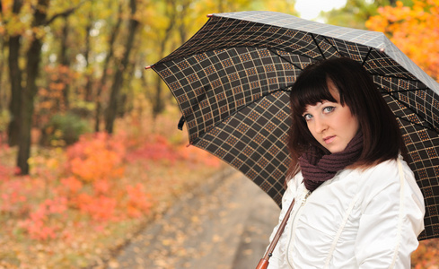 秋天的木头用一把伞的女孩