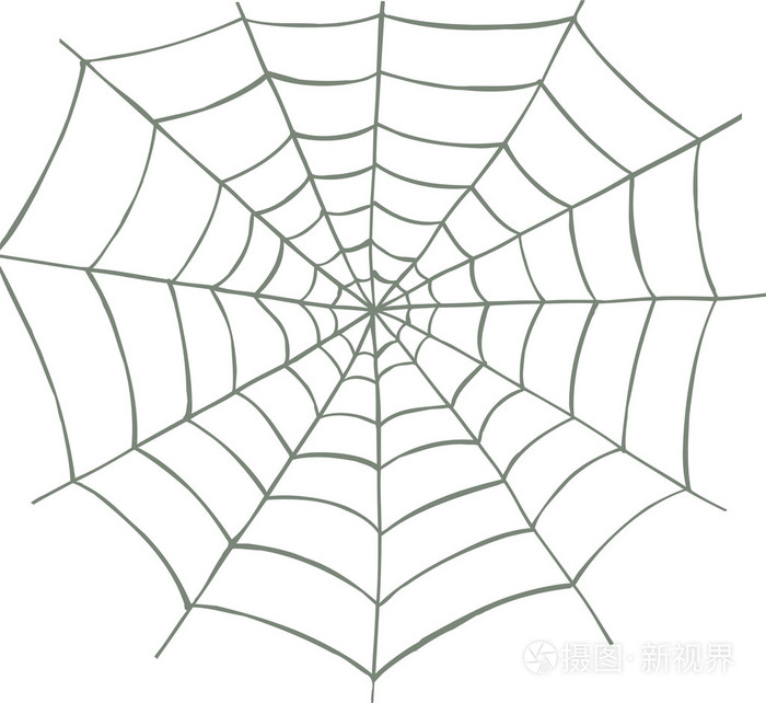 蜘蛛网