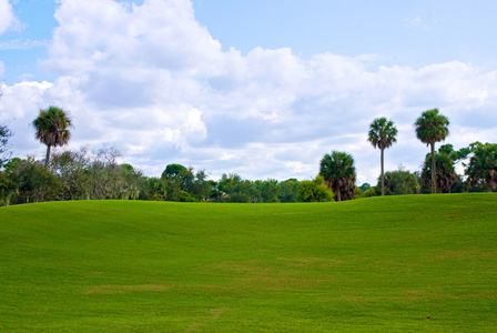 滚山高尔夫球场的绿色图片