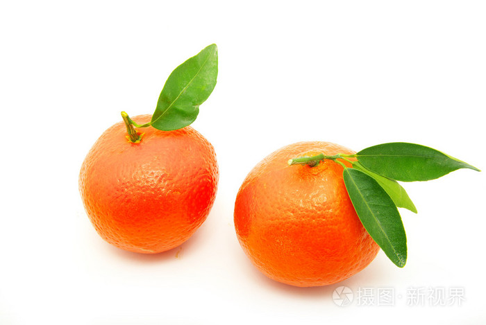 橘