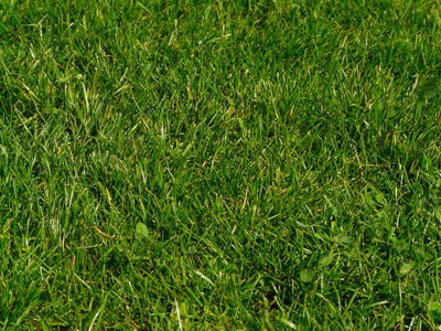 草布林和佩奇腿从格伦峡谷大坝和佩奇镇附近的上方鸟瞰鲍威尔湖鸟房子