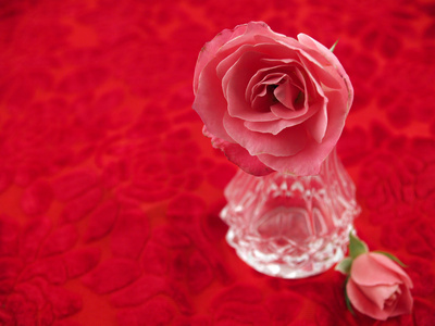 安排在一个浪漫的场面在红色天鹅绒软粉红玫瑰
