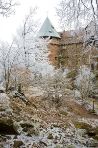 法国的阿尔萨斯，奥 koenigsbourg 城堡