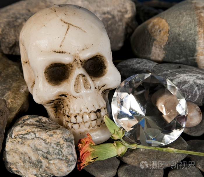 头骨和钻石
