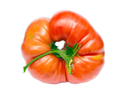 大带中心孔的成熟番茄。关于白 bac 隔离