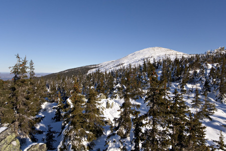 冬天下雪 landscape.wild 自然在 russia.taiga