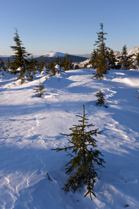 冬天下雪 landscape.wild 自然在 russia.taiga