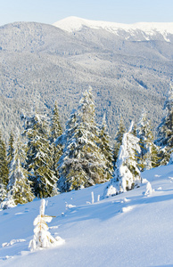 冬山风景