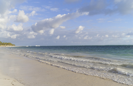 投标在加勒比海滩上冲浪
