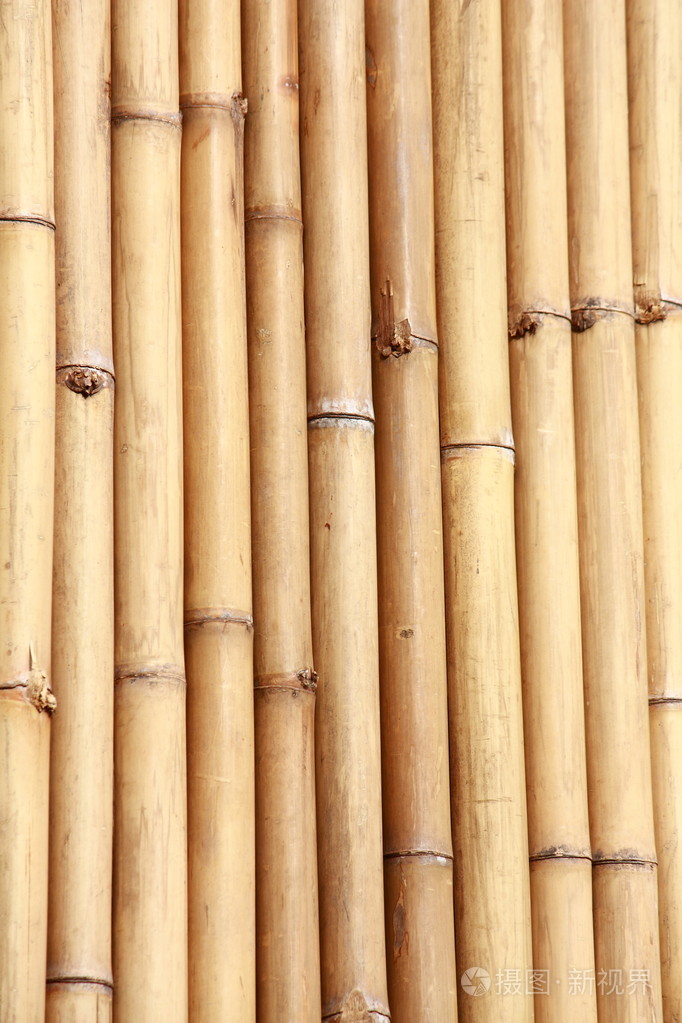 天然竹