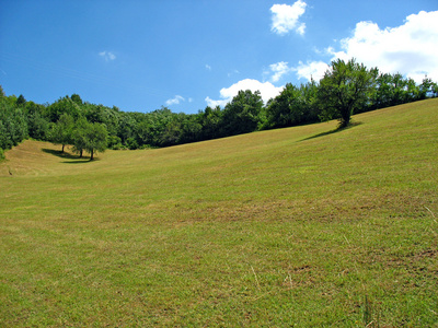 山森林