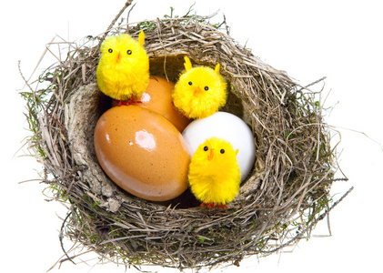 巢与鸡蛋和鸡在白色背景上