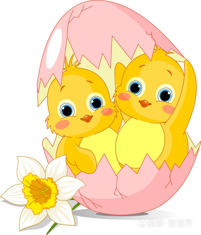 从卵孵出的两个复活节鸡