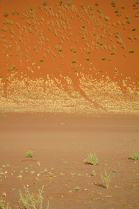 sossusvlei 沙丘