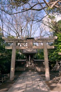 日本寺庙托里