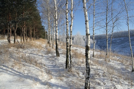 雪域景观