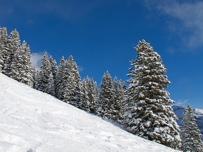 滑雪坡