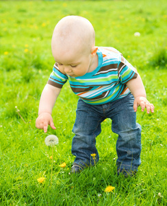 小男孩玩绿色草地上