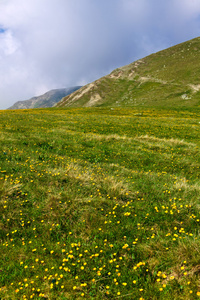 草甸下的游击分子山在罗马尼亚 iezer 高峰